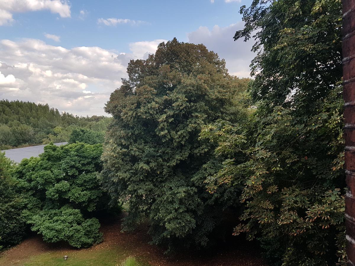 Chateau Lambert Moulinsart Hotel, Shuttle Airport, Long Term Parking, Snooker, Large Terrasse, Dinner, Breakfast شارلروا المظهر الخارجي الصورة